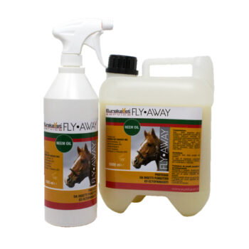 Fly away cavallo