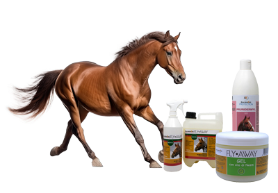 Cavallo