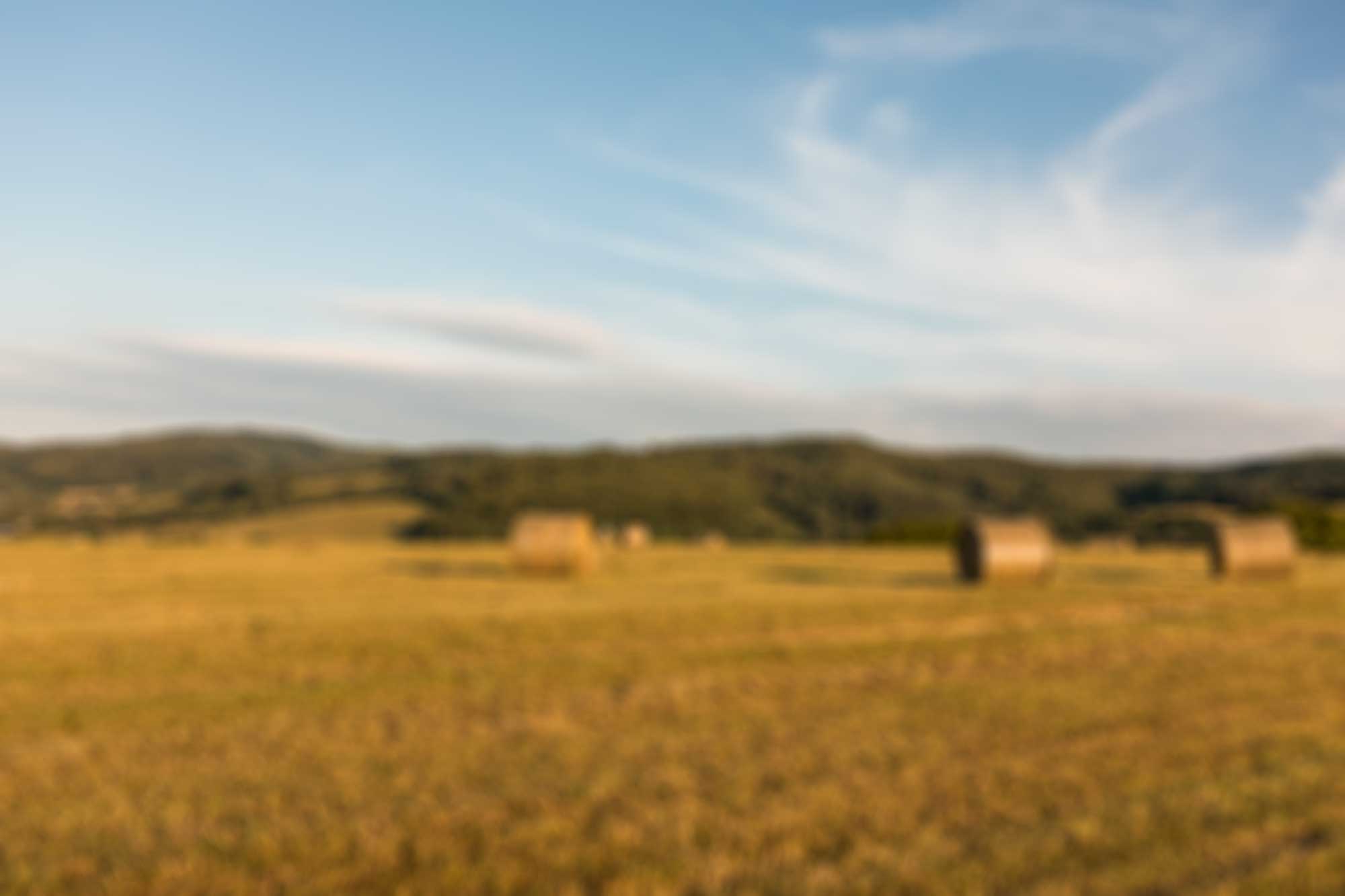 Intolleranza al glutine: scelte consapevoli per il loro benessere